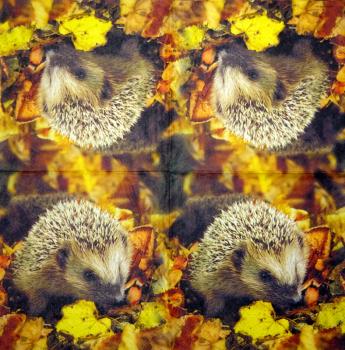 045 Animals Autumn - 3-ply - Atelier